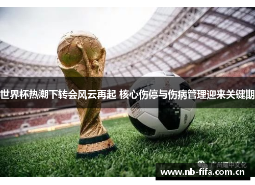 世界杯热潮下转会风云再起 核心伤停与伤病管理迎来关键期